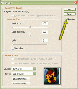 در حالیكه دو تصویر منبع و مقصد خود را باز كرده‌اید، گزینه Image\Adjustments\Match Color را انتخاب كنید. كادر محاوره‌ای Match Color باز می‌شود.تعیین فایل یا لایه منبع