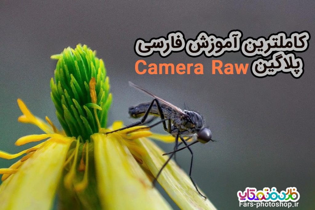 Camera Raw