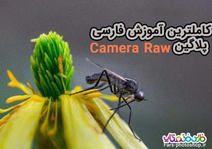 Camera Raw