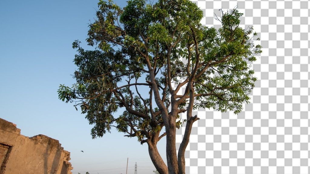 برش حرفه ای تصویر