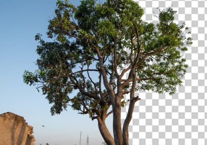 برش حرفه ای تصویر